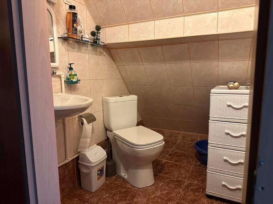 Cosy Mountain Villa In Nizepole Manastır Dış mekan fotoğraf